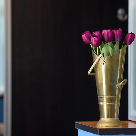 City-centric Comfort: 1-bedroom Near Military Circle * Boekarest