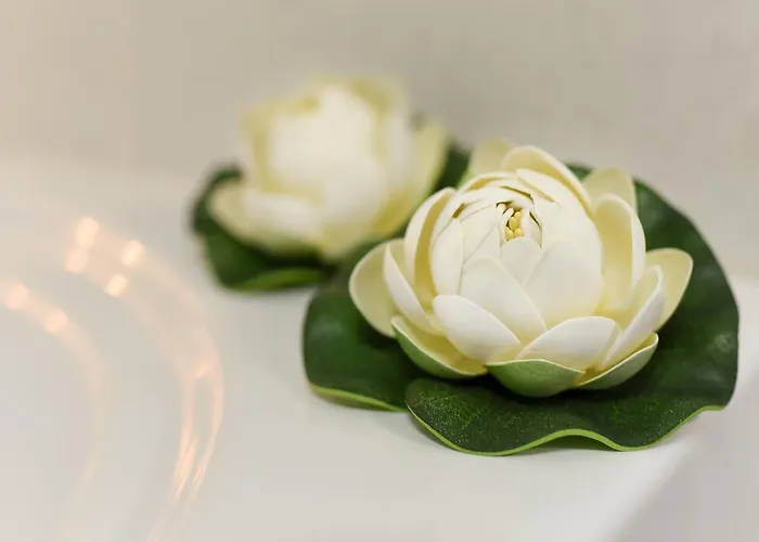 City-centric Comfort: 1-bedroom Near Military Circle Апартаменти *